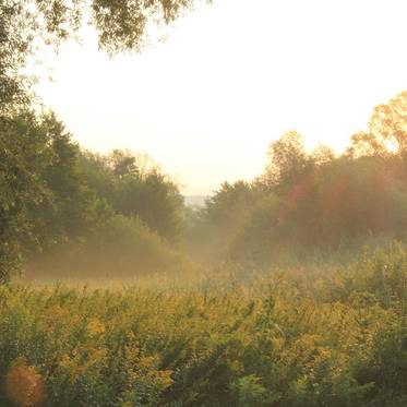 Moorfeld Bad Tatzmannsdorfban, Burgenlandban
