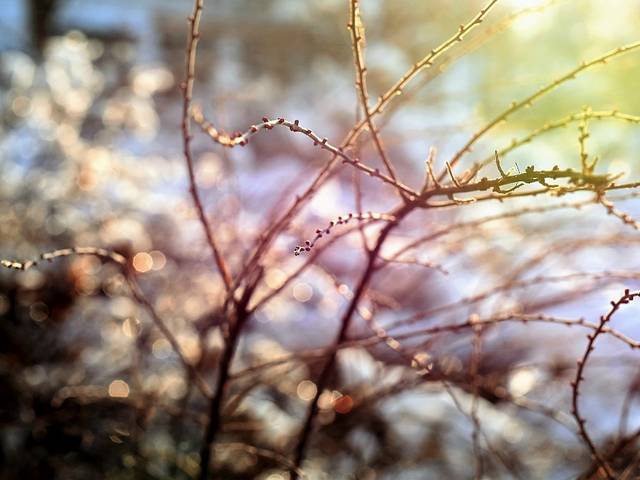 Téli hangulat a Reduce ben, Bad Tatzmannsdorfban