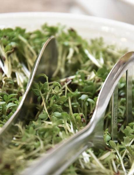 Mi is a Vegan Welcome! részesei vagyunk!