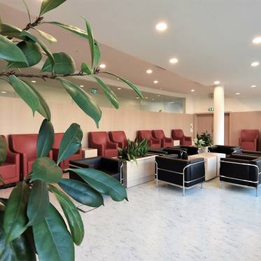 Útja a REDUCE kúrához