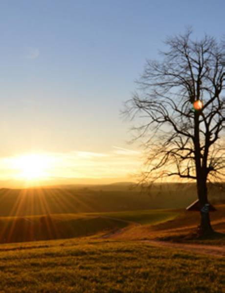 Tájkép naplementével