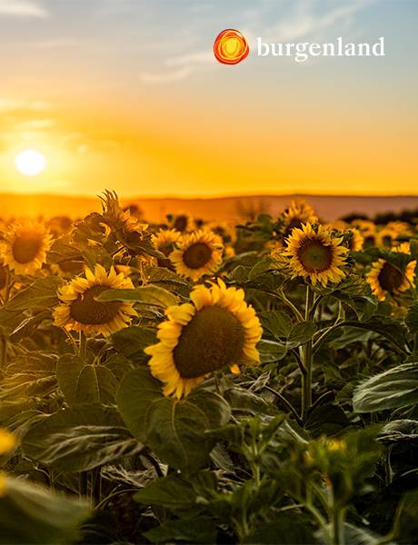 Varázslatos Dél-Burgenland