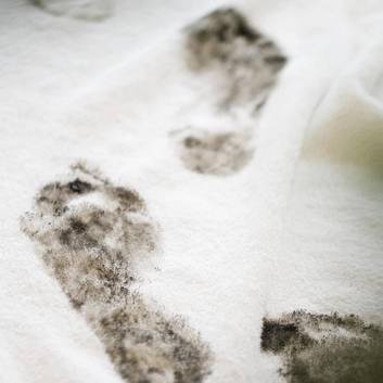 Lábnyomok a mocsárból a Reduce Bad Tatzmannsdorfban.