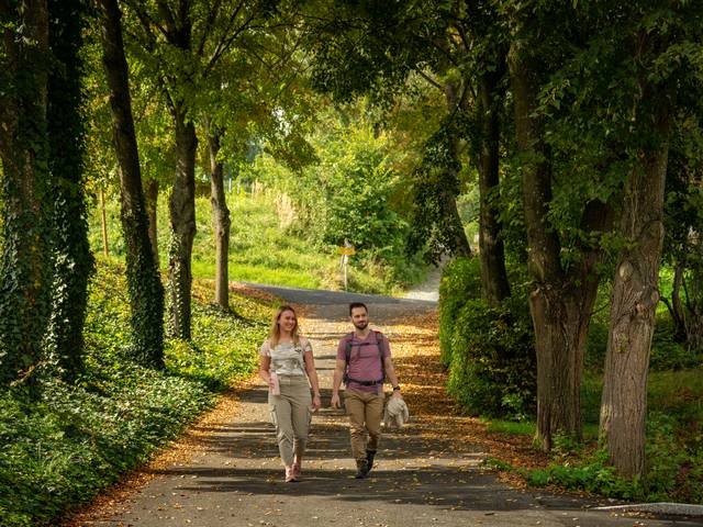 Túraüdülés a REDUCE  Vital